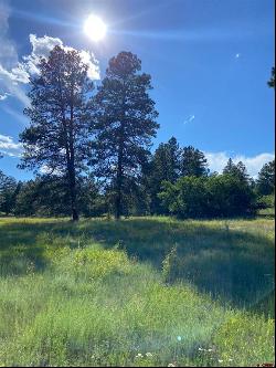 Lot 3 Colonial Drive, Durango CO 81303