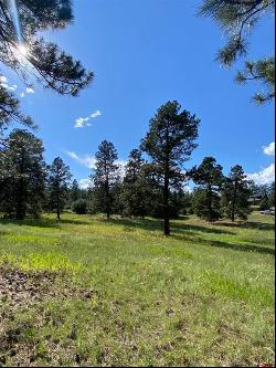 Lot 3 Colonial Drive, Durango CO 81303