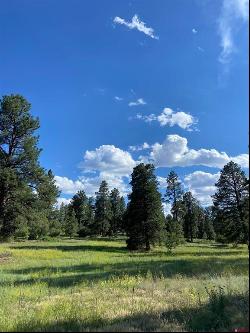 Lot 3 Colonial Drive, Durango CO 81303