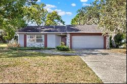 6201 Waycross Drive, Spring Hill FL 34606