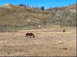 35 Acres Rd, Bondurant WY 82922