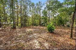 TBD-5 Wilson Way, Freeport FL 32439