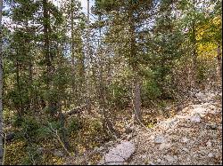 Lot 9 Emma Road, Taos Ski Valley NM 87525