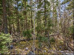 Lot 9 Emma Road, Taos Ski Valley NM 87525