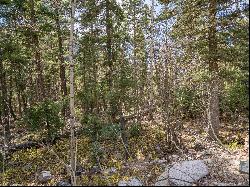 Lot 9 Emma Road, Taos Ski Valley NM 87525