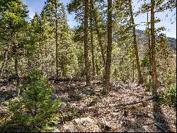 Lot 9 Emma Road, Taos Ski Valley NM 87525