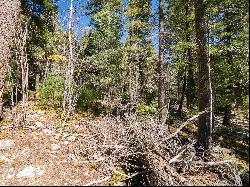 Lot 9 Emma Road, Taos Ski Valley NM 87525