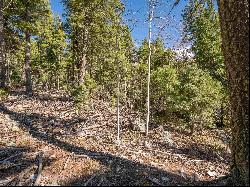 Lot 9 Emma Road, Taos Ski Valley NM 87525