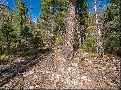 Lot 9 Emma Road, Taos Ski Valley NM 87525