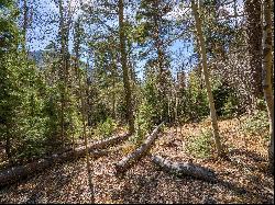 Lot 3 Emma Rd, Taos Ski Valley NM 87525