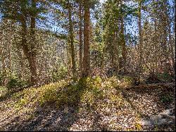 Lot 3 Emma Rd, Taos Ski Valley NM 87525