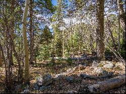 Lot 3 Emma Rd, Taos Ski Valley NM 87525