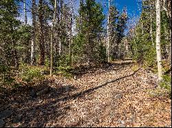 Lot 3 Emma Rd, Taos Ski Valley NM 87525