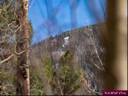 Lot 3 Emma Rd, Taos Ski Valley NM 87525