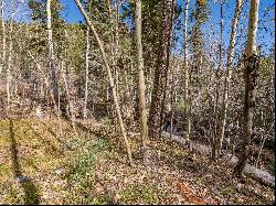 Lot 3 Emma Rd, Taos Ski Valley NM 87525