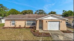 8531 Woodcrest Drive, Port Richey FL 34668