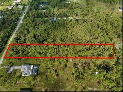 TBD 45th Ave NE, Naples FL 34120