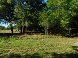 000 Butts Landing, Dade City FL 33525