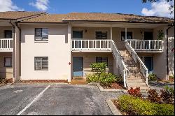 3713 Champagne Drive #115, Tampa FL 33618