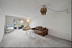 3713 Champagne Drive #115, Tampa FL 33618