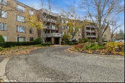 945 E Kenilworth Avenue #220, Palatine IL 60074