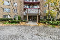 945 E Kenilworth Avenue #220, Palatine IL 60074