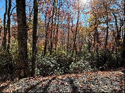 Lot 33 Coppermine Ridge #33, Whittier NC 28789