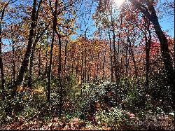 Lot 33 Coppermine Ridge #33, Whittier NC 28789