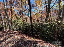 Lot 33 Coppermine Ridge #33, Whittier NC 28789