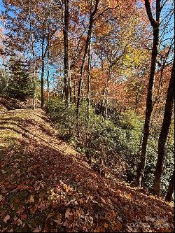 Lot 33 Coppermine Ridge #33, Whittier NC 28789