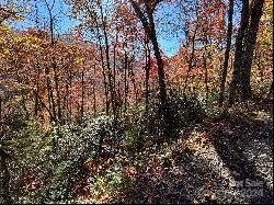 Lot 33 Coppermine Ridge #33, Whittier NC 28789