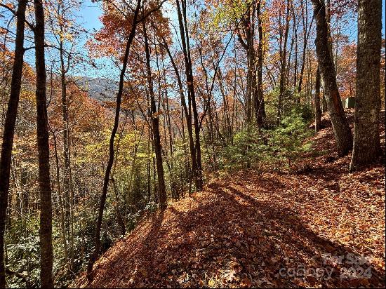 Lot 33 Coppermine Ridge #33, Whittier NC 28789