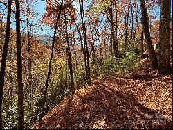 Lot 33 Coppermine Ridge #33, Whittier NC 28789