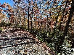 Lot 33 Coppermine Ridge #33, Whittier NC 28789