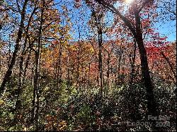 Lot 33 Coppermine Ridge #33, Whittier NC 28789