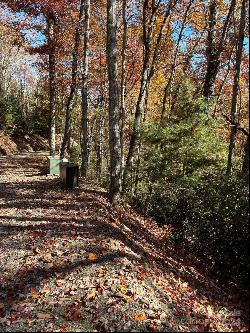 Lot 33 Coppermine Ridge #33, Whittier NC 28789