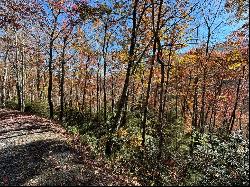 Lot 33 Coppermine Ridge, Whittier NC 28789