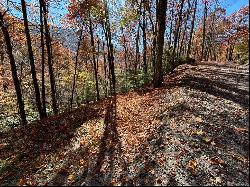 Lot 33 Coppermine Ridge, Whittier NC 28789