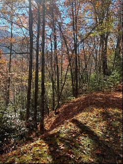 Lot 33 Coppermine Ridge, Whittier NC 28789