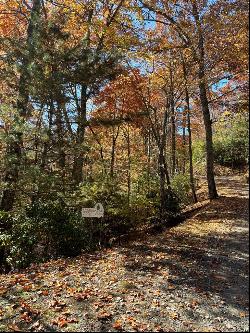 Lot 33 Coppermine Ridge, Whittier NC 28789