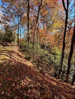 Lot 33 Coppermine Ridge, Whittier NC 28789