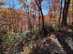 Lot 33 Coppermine Ridge, Whittier NC 28789