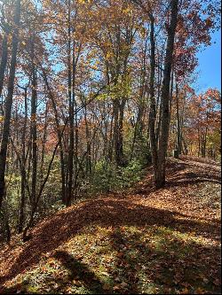 Lot 33 Coppermine Ridge, Whittier NC 28789