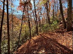 Lot 33 Coppermine Ridge, Whittier NC 28789