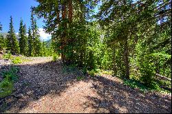 Tbd Milner Street,Montezuma, CO, 80435