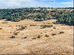 Desirable 35.46 acres located off Hwy 83 just north of Palmer Divide!