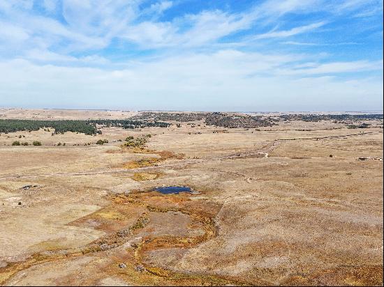 Desirable 35.46 acres located off Hwy 83 just north of Palmer Divide!