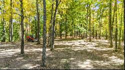 1116 Murphy Hollow Rd, Vanleer, TN, 37181