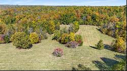 1116 Murphy Hollow Rd, Vanleer, TN, 37181