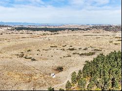 Incredible views of Pikes Peak and the Front Range!